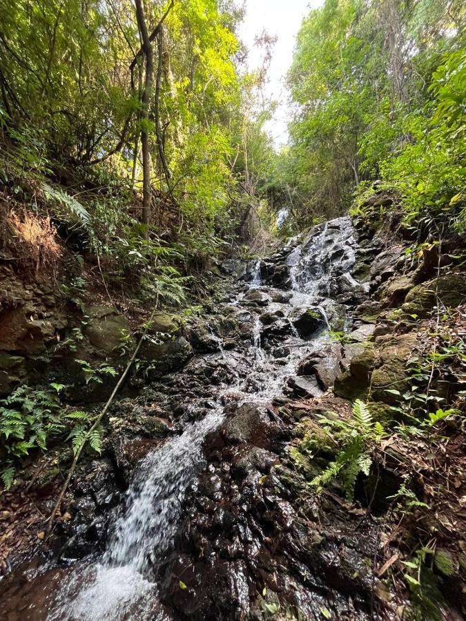 Hotel Fazenda Vale Alvorada カスカヴェウ エクステリア 写真